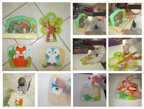 puzzles et jeu de manipulation avec la forêt