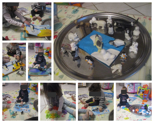 Les animaux de la banquise