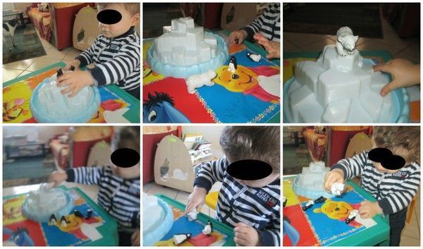 l'ours blanc sur la banquise