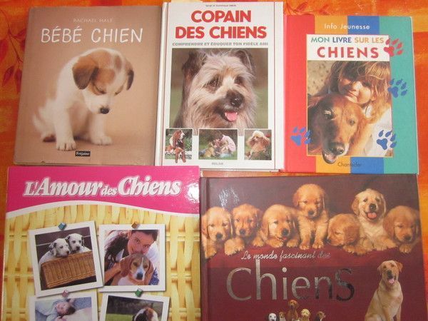 Nos Lectures : Le Chien