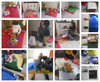 RPE : parcuors moteur